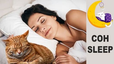 Мурлыканье кота для сна и отдыха | Cat purring for sleep and rest