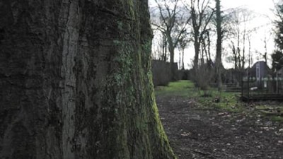 «Прохожий» Марина Цветаева