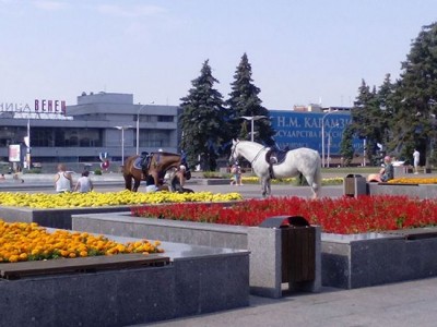 прогулки лошади