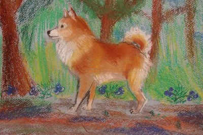 Алла Самарцева