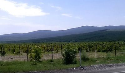 Геленджик красота