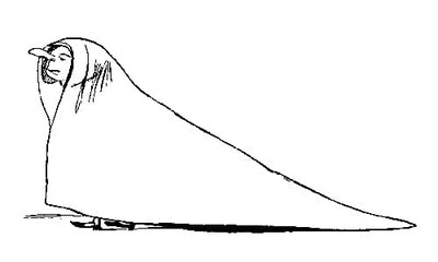 То, как выглядит дама из Кресны,