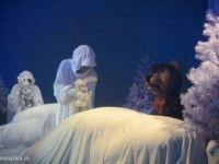 Медведь и зайцы