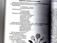 Сура одуванчик, крапива и подорожник