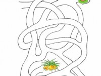 Лабиринт Луковка