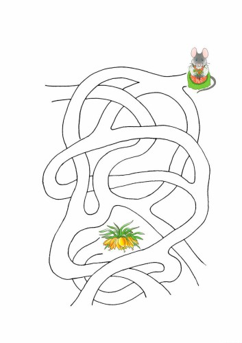 Лабиринт Луковка