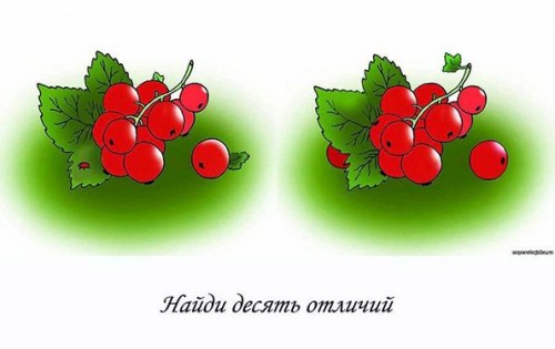 Игра Красная Смородина