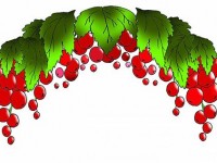 Иллюстрация Красная смородина