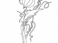 Цеток с коробочкой и завитками