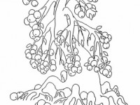 Раскраска Яблоня