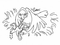 Раскраска Ворона