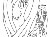 Жар-Птица с красивыми крыльями