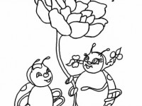 Раскраска Божьи коровки