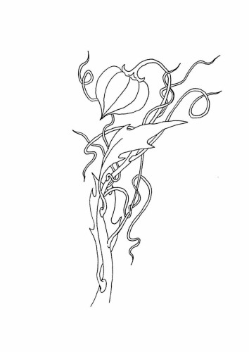 Раскраска Цветок