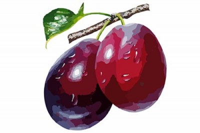 Скороговорки