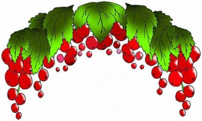 Ведро и Красная Смородина