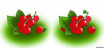 игра найди 10 отличий игра найди 10 отличий